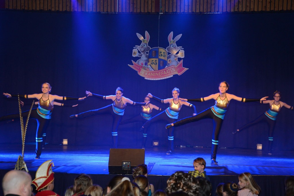 ../Images/Dansmarieke festival 2015 561.jpg